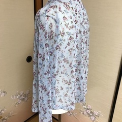 透けるブラウスの画像
