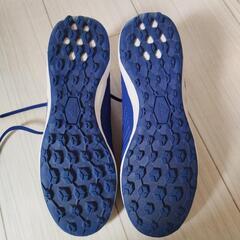 Adidas Predator フットサルの画像