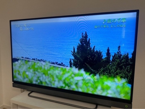 テレビ　REGZA40型