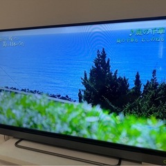 テレビ　REGZA40型の画像