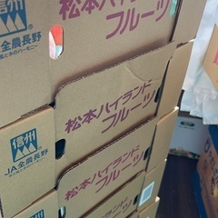 長野県産　桃　松本ハイランドの画像