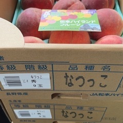 長野県産　桃　松本ハイランドの画像
