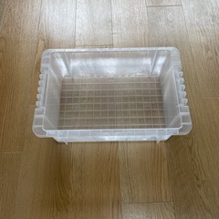 トロ舟60L+α　めだか　金魚飼育にの画像