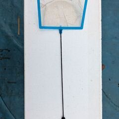 金魚掬いの画像