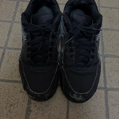 NIKE エアマックスの画像