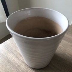 植木鉢の画像