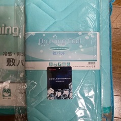 帝人　TEIJIN ドライミングクール敷パッドと枕パッドの画像