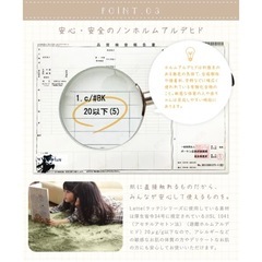 洗えるラグの画像