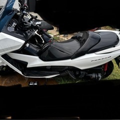 フォルッア250 SIの画像