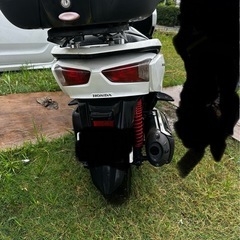 フォルッア250 SIの画像