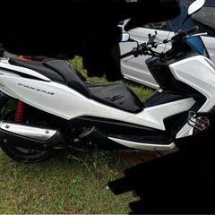 フォルッア250 SIの画像