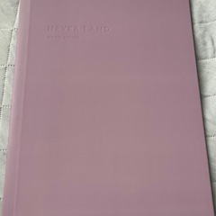 安室奈美恵のフォトブック「NEVER LAND」の画像