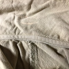猫　ブラウス　襟に一部脱色ありの画像