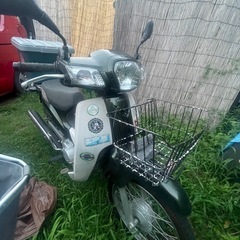 実働‼️スーパーカブ50株主仕様
の画像