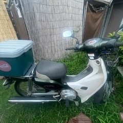 実働‼️スーパーカブ50株主仕様
の画像