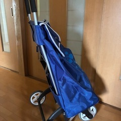 キャリー　簡易の歩行器の画像