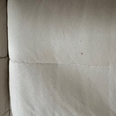 IKEA クッションシート　ベージュの画像