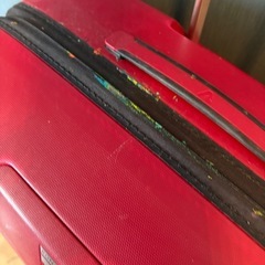 スーツケース大の画像