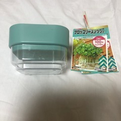 スプラウトを育てる容器とブロッコリースプラウトの種の画像