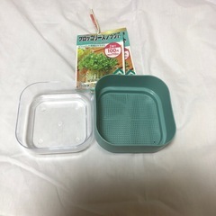 スプラウトを育てる容器とブロッコリースプラウトの種の画像