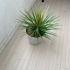 フェイクパイナップルお洒落観葉植物（造花）の画像