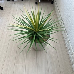 フェイクパイナップルお洒落観葉植物（造花）の画像