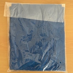 インド綿　半袖Tシャツ　コバルトブルー　LLの画像