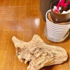 大きな流木の画像