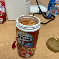 （バラ売りOK）金魚、メダカなど飼うのに水槽セットの画像