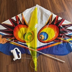 アポロカイト凧揚げApollo kite