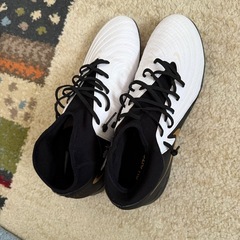 トーニングシューズ29cm！の画像