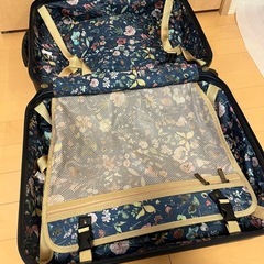 機内持ち込み可　スーツケースの画像