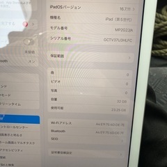 Apple iPad (第5世代) 32GBの画像