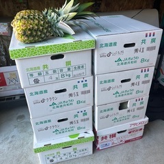 北海道産の立派な3L特大メロン✨バラ売も🉑