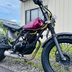 北海道　ヤマハ　TW225 ロンスイ　スカチューン　タイヤ前後山...