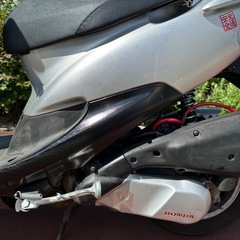 ライブディオ　ＺＸ　実働車の画像