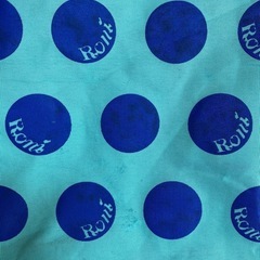 RONI水着入れの画像