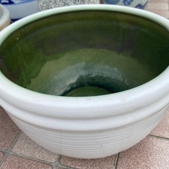 メダカ鉢　水蓮鉢の画像