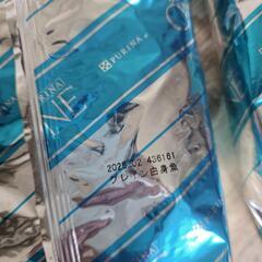 ピュリナワン　グレインフリー(白身魚)400g×12袋(4.8kg)の画像