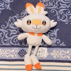 本日受け渡し◎ポケモンぬいぐるみの画像