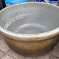 メダカ鉢　水蓮鉢の画像