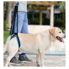 🐾 大型犬用ハーネス – 未使用！🐾の画像