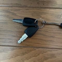 美品　ソフトキャリー鍵付きの画像