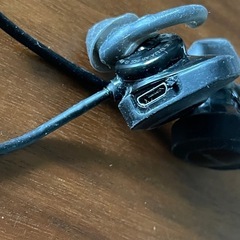 Bose Soundsport 　の画像