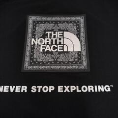 THE NORTH FACE ブラック Tシャツ L　ノースフェイス　黒の画像