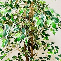 プラスチック木の画像