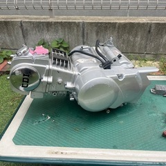 シャリー の画像