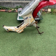 シャリー の画像