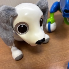 ハロー！ダイノネオ、ハロー！ズーマーミニチュアダックスの画像