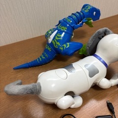 ハロー！ダイノネオ、ハロー！ズーマーミニチュアダックスの画像